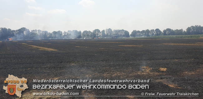 20200721 Feldbrand im Gemeindegebiet Traiskirchen forderte 4 Freiwillige Feuerwehren   Fotos: © Freiwillige Feuerwehr Traiskirchen-Stadt