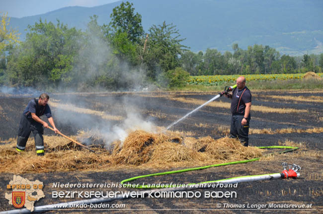 20200721 Feldbrand im Gemeindegebiet Traiskirchen forderte 4 Freiwillige Feuerwehren   Fotos: © Thomas Lenger Monatsrevue.at