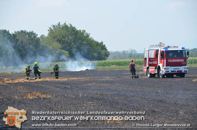 20200721 Feldbrand im Gemeindegebiet Traiskirchen forderte 4 Freiwillige Feuerwehren   Fotos: © Thomas Lenger Monatsrevue.at