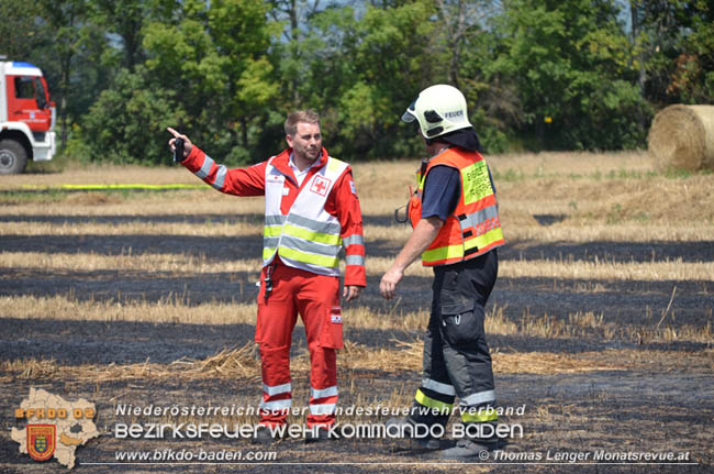 20200721 Feldbrand im Gemeindegebiet Traiskirchen forderte 4 Freiwillige Feuerwehren   Fotos: © Thomas Lenger Monatsrevue.at
