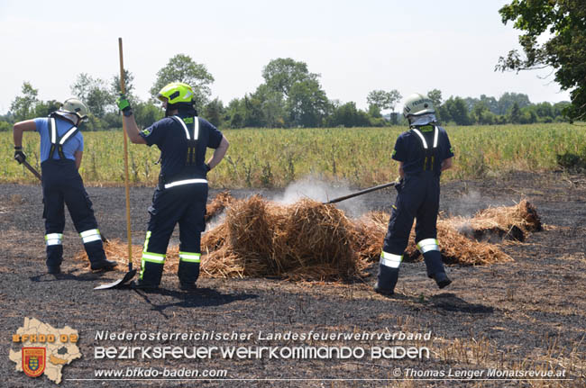 20200721 Feldbrand im Gemeindegebiet Traiskirchen forderte 4 Freiwillige Feuerwehren   Fotos: © Thomas Lenger Monatsrevue.at