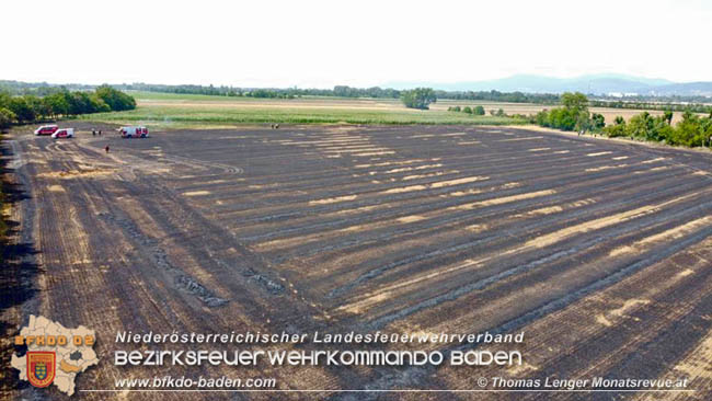 20200721 Feldbrand im Gemeindegebiet Traiskirchen forderte 4 Freiwillige Feuerwehren   Fotos: © Thomas Lenger Monatsrevue.at