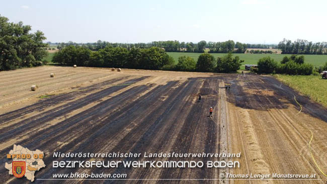 20200721 Feldbrand im Gemeindegebiet Traiskirchen forderte 4 Freiwillige Feuerwehren   Fotos: © Thomas Lenger Monatsrevue.at