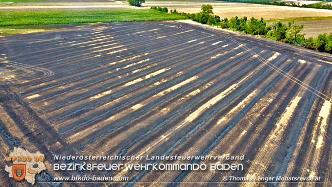20200721 Feldbrand im Gemeindegebiet Traiskirchen forderte 4 Freiwillige Feuerwehren   Fotos: © Thomas Lenger Monatsrevue.at