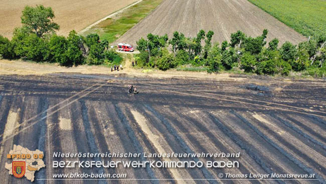 20200721 Feldbrand im Gemeindegebiet Traiskirchen forderte 4 Freiwillige Feuerwehren   Fotos: © Thomas Lenger Monatsrevue.at