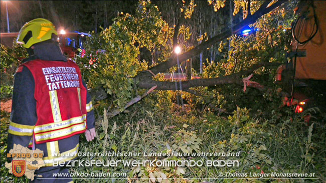 20200906 Vierachs-Lkw Kehrmaschine verunfallt auf der L157 bei Tattendorf   Foto: © Thomas Lenger Monatsrevue.at