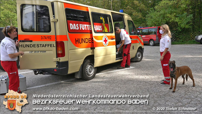 20201003 Personensuche in Berndorf Foto: © Stefan Schneider BFKDO BADEN 20201003 Personensuche in Berndorf Foto: © Stefan Schneider BFKDO BADEN
