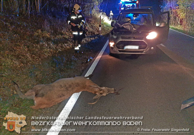 20201107 Fahrzeugbergung nach Wildunfall auf der LB210 im Helenental  Foto: © Freiwillige Feuerwehr Siegenfeld