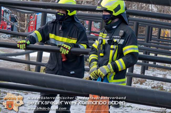 20201204 Pferd in misslicher Lage Oberwaltersdorf - Feuerwehr unterstützt Tierärztin Foto: Stefan Schneider BFK BADEN