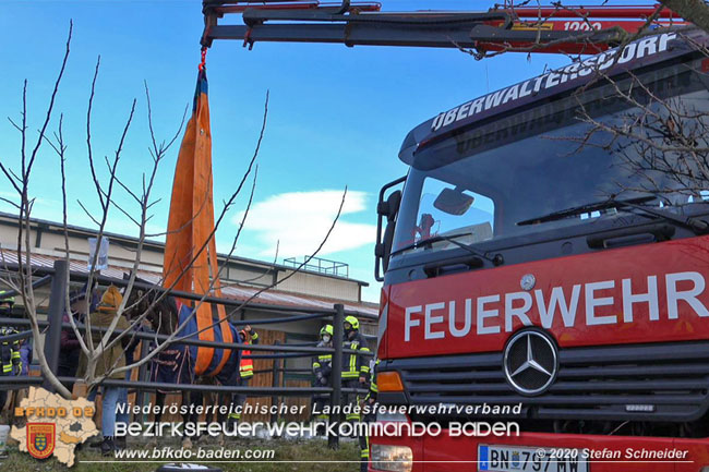 20201204 Pferd in misslicher Lage Oberwaltersdorf - Feuerwehr unterstützt Tierärztin  Foto: Stefan Schneider BFK BADEN
