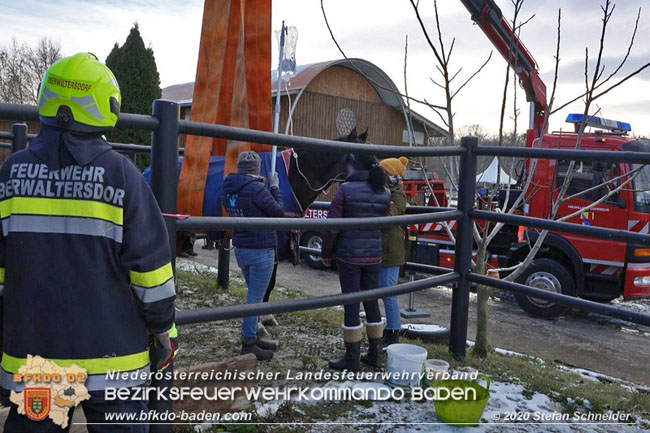 20201204 Pferd in misslicher Lage Oberwaltersdorf - Feuerwehr unterstützt Tierärztin  Foto: Stefan Schneider BFK BADEN