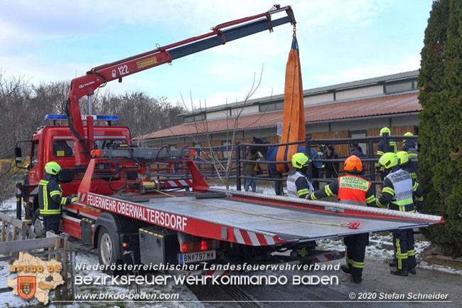 20201204 Pferd in misslicher Lage Oberwaltersdorf - Feuerwehr unterstützt Tierärztin  Foto: Stefan Schneider BFK BADEN