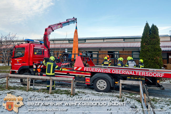 20201204 Pferd in misslicher Lage Oberwaltersdorf - Feuerwehr unterstützt Tierärztin Foto: Stefan Schneider BFK BADEN 20201204 Pferd in misslicher Lage Oberwaltersdorf - Feuerwehr unterstützt Tierärztin Foto: Stefan Schneider BFK BADEN