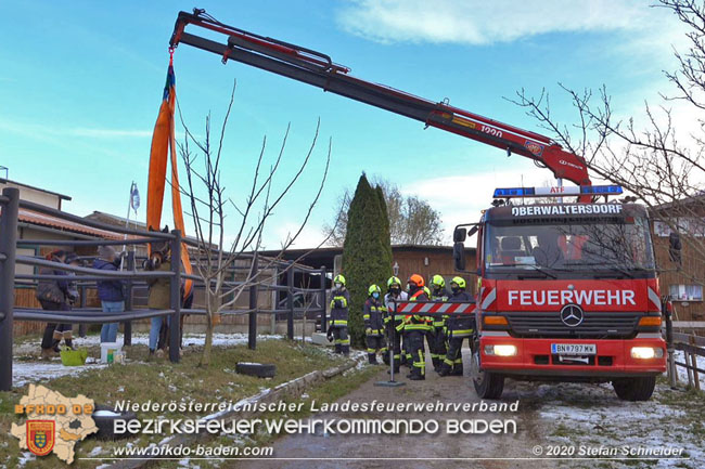 20201204 Pferd in misslicher Lage Oberwaltersdorf - Feuerwehr unterstützt Tierärztin  Foto: Stefan Schneider BFK BADEN