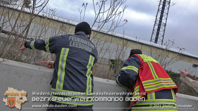 20210110 Stubentiger "Aladin" aus 4. Stock in tieferliegendes Bachbett gestürzt in Baden Ortsteil Leesdorf  Foto: © Stefan Schneider BFKDO Baden