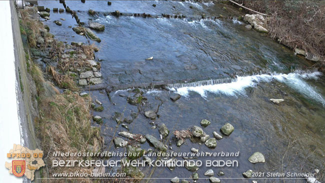 20210110 Stubentiger "Aladin" aus 4. Stock in tieferliegendes Bachbett gestürzt in Baden Ortsteil Leesdorf  Foto: © Stefan Schneider BFKDO Baden