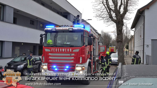 20210110 Stubentiger "Aladin" aus 4. Stock in tieferliegendes Bachbett gestürzt in Baden Ortsteil Leesdorf  Foto: © Stefan Schneider BFKDO Baden