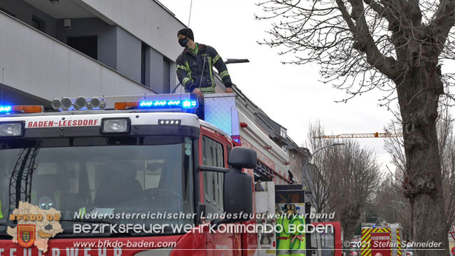 20210110 Stubentiger "Aladin" aus 4. Stock in tieferliegendes Bachbett gestürzt in Baden Ortsteil Leesdorf  Foto: © Stefan Schneider BFKDO Baden