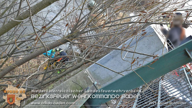 20210110 Stubentiger "Aladin" aus 4. Stock in tieferliegendes Bachbett gestürzt in Baden Ortsteil Leesdorf  Foto: © Stefan Schneider BFKDO Baden