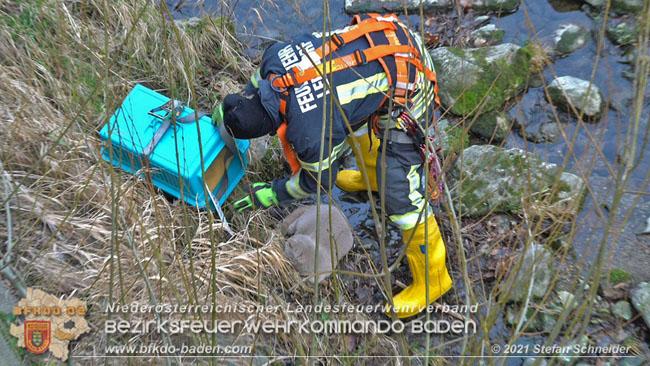 20210110 Stubentiger "Aladin" aus 4. Stock in tieferliegendes Bachbett gestürzt in Baden Ortsteil Leesdorf  Foto: © Stefan Schneider BFKDO Baden