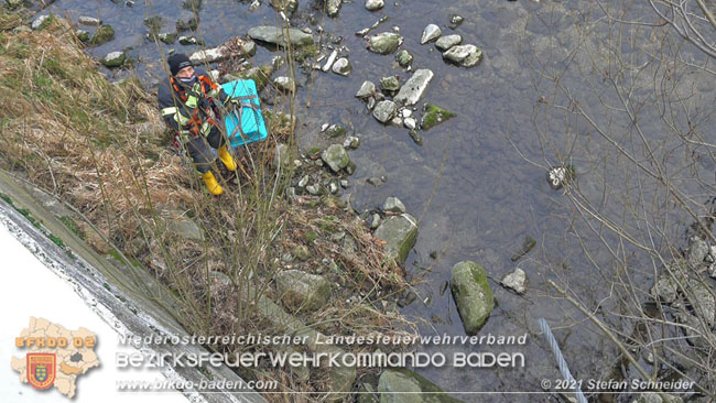 20210110 Stubentiger "Aladin" aus 4. Stock in tieferliegendes Bachbett gestürzt in Baden Ortsteil Leesdorf  Foto: © Stefan Schneider BFKDO Baden