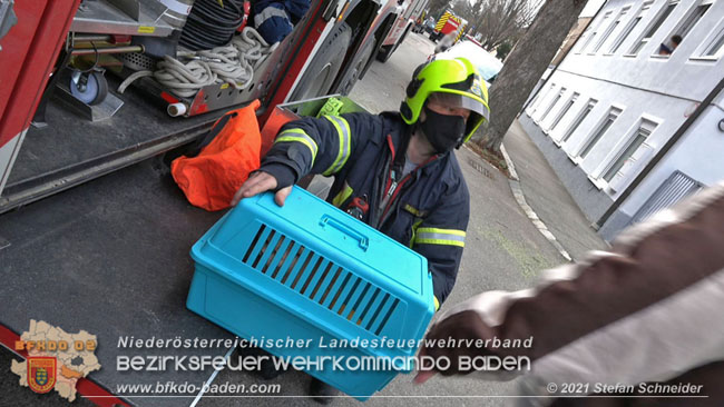 20210110 Stubentiger "Aladin" aus 4. Stock in tieferliegendes Bachbett gestürzt in Baden Ortsteil Leesdorf  Foto: © Stefan Schneider BFKDO Baden