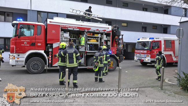 20210110 Stubentiger "Aladin" aus 4. Stock in tieferliegendes Bachbett gestürzt in Baden Ortsteil Leesdorf  Foto: © Stefan Schneider BFKDO Baden