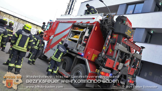 20210110 Stubentiger "Aladin" aus 4. Stock in tieferliegendes Bachbett gestürzt in Baden Ortsteil Leesdorf  Foto: © Stefan Schneider BFKDO Baden