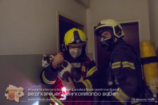Küchenbrand Kottingbrunn