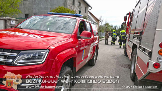 20210426 Rehbock mitten im Pfaffstättner Wohngebiet gerettet  Foto: Stefan Scheider BFKDO Baden