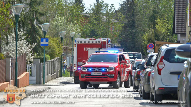 20210426 Rehbock mitten im Pfaffstättner Wohngebiet gerettet  Foto: Stefan Scheider BFKDO Baden