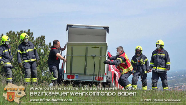 20210426 Rehbock mitten im Pfaffstättner Wohngebiet gerettet  Foto: Stefan Scheider BFKDO Baden