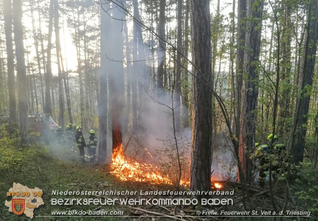 20210428 Kleinflächiger Waldbrand in der Jauling bei St.Veit a.d.Triesting Foto: © Freiwillige Feuerwehr St.Veit/Triesting 20210428 Kleinflächiger Waldbrand in der Jauling bei St.Veit a.d.Triesting Foto: © Freiwillige Feuerwehr St.Veit/Triesting