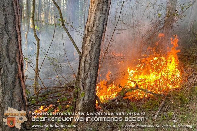 20210428 Kleinflächiger Waldbrand in der Jauling bei St.Veit a.d.Triesting Foto: © Freiwillige Feuerwehr St.Veit/Triesting 20210428 Kleinflächiger Waldbrand in der Jauling bei St.Veit a.d.Triesting Foto: © Freiwillige Feuerwehr St.Veit/Triesting