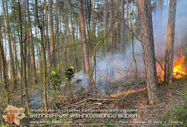 20210428 Kleinflächiger Waldbrand in der Jauling bei St.Veit a.d.Triesting Foto: © Freiwillige Feuerwehr St.Veit/Triesting 20210428 Kleinflächiger Waldbrand in der Jauling bei St.Veit a.d.Triesting Foto: © Freiwillige Feuerwehr St.Veit/Triesting