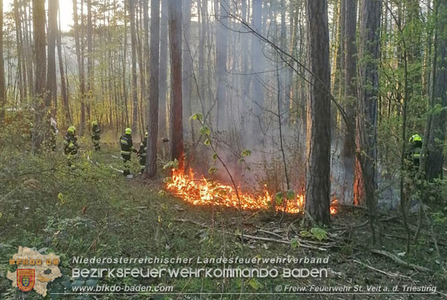 20210428 Kleinflächiger Waldbrand in der Jauling bei St.Veit a.d.Triesting Foto: © Freiwillige Feuerwehr St.Veit/Triesting 20210428 Kleinflächiger Waldbrand in der Jauling bei St.Veit a.d.Triesting Foto: © Freiwillige Feuerwehr St.Veit/Triesting