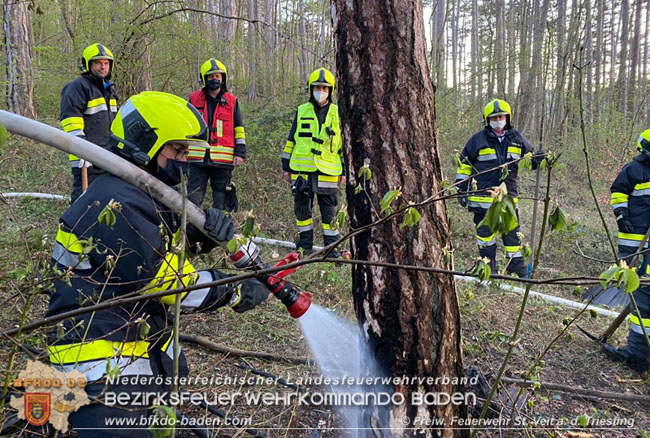 20210428 Kleinflächiger Waldbrand in der Jauling bei St.Veit a.d.Triesting Foto: © Freiwillige Feuerwehr St.Veit/Triesting 20210428 Kleinflächiger Waldbrand in der Jauling bei St.Veit a.d.Triesting Foto: © Freiwillige Feuerwehr St.Veit/Triesting