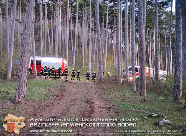 20210428 Kleinflächiger Waldbrand in der Jauling bei St.Veit a.d.Triesting Foto: © Freiwillige Feuerwehr St.Veit/Triesting 20210428 Kleinflächiger Waldbrand in der Jauling bei St.Veit a.d.Triesting Foto: © Freiwillige Feuerwehr St.Veit/Triesting