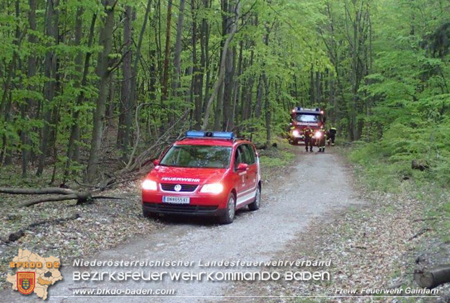 20210508 Beginnender Waldbrand in Gainfarn noch rechtzeitig von zwei Wanderer endeckt  Foto: © Freiwillige Feuerwehr Gainfarn