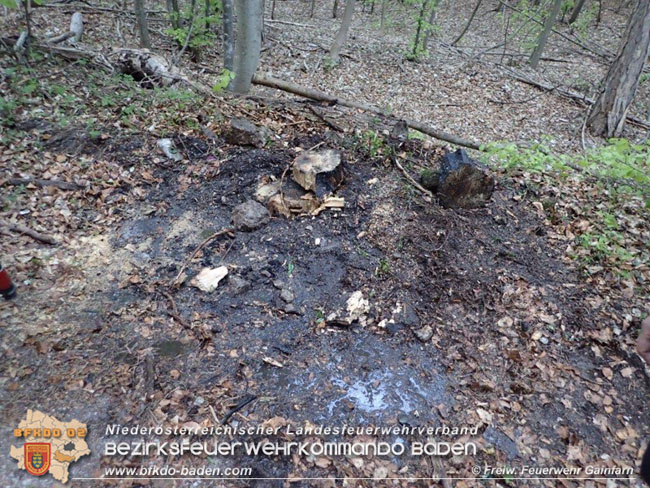 20210508 Beginnender Waldbrand in Gainfarn noch rechtzeitig von zwei Wanderer endeckt  Foto: © Freiwillige Feuerwehr Gainfarn