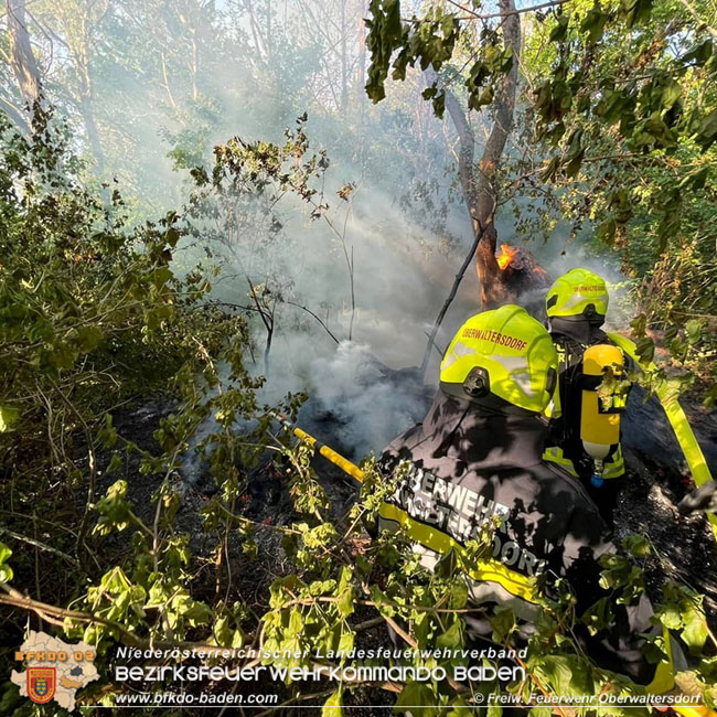20210510 Beginnender Waldbrand in Oberwaltersdorf rasch geloescht  Foto: © Freiwillige Feuerwehr Oberwaltersdorf