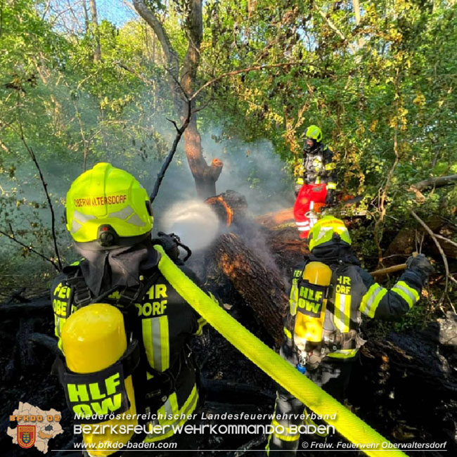 20210510 Beginnender Waldbrand in Oberwaltersdorf rasch geloescht  Foto: © Freiwillige Feuerwehr Oberwaltersdorf