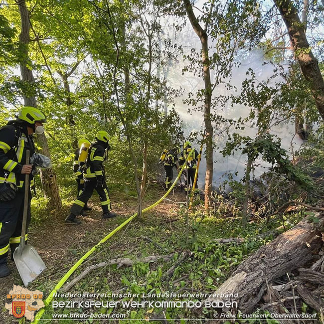 20210510 Beginnender Waldbrand in Oberwaltersdorf rasch geloescht  Foto: © Freiwillige Feuerwehr Oberwaltersdorf