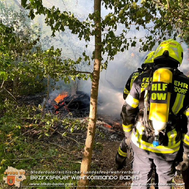 20210510 Beginnender Waldbrand in Oberwaltersdorf rasch geloescht  Foto: © Freiwillige Feuerwehr Oberwaltersdorf