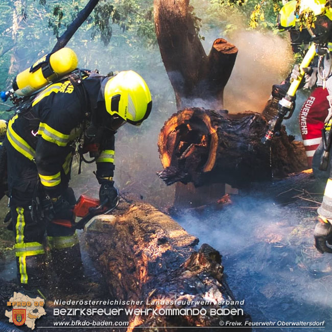 20210510 Beginnender Waldbrand in Oberwaltersdorf rasch geloescht  Foto: © Freiwillige Feuerwehr Oberwaltersdorf