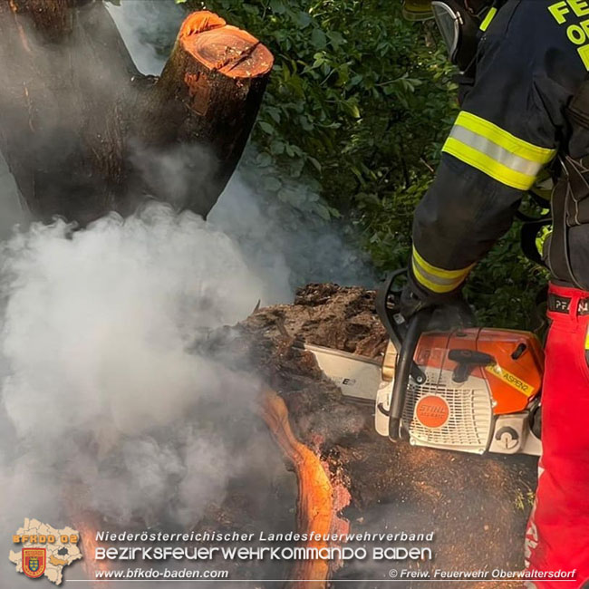 20210510 Beginnender Waldbrand in Oberwaltersdorf rasch geloescht  Foto: © Freiwillige Feuerwehr Oberwaltersdorf