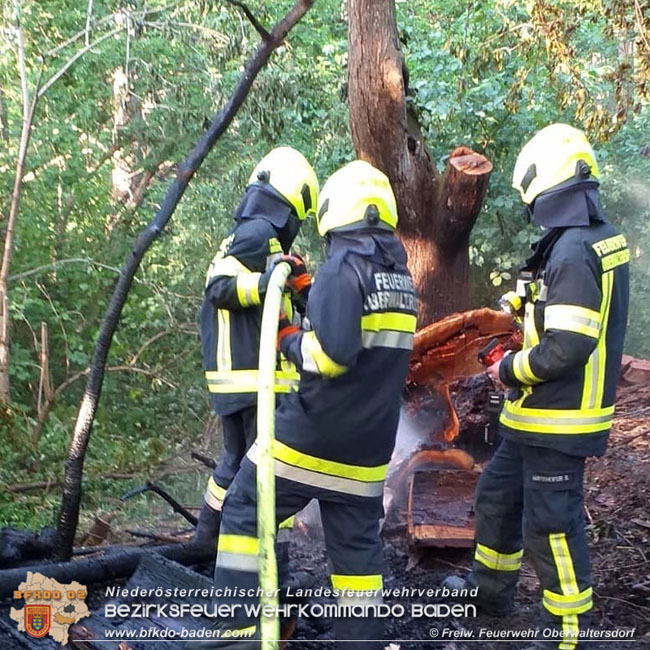 20210510 Beginnender Waldbrand in Oberwaltersdorf rasch geloescht  Foto: © Freiwillige Feuerwehr Oberwaltersdorf