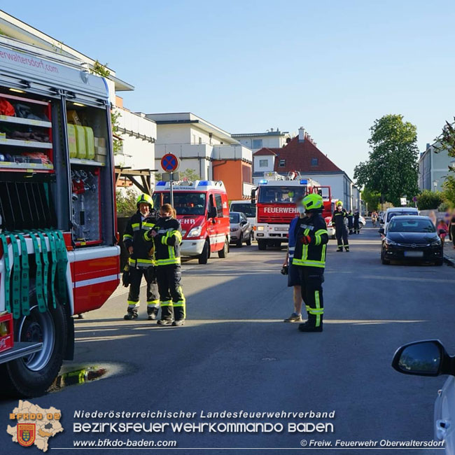 20210510 Beginnender Waldbrand in Oberwaltersdorf rasch geloescht  Foto: © Freiwillige Feuerwehr Oberwaltersdorf