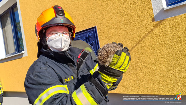 20210601 Technische Hilfeleistung wird zur Tierrettung  Foto: © SB ÖA FT Ing. Daniel Bartmann FF Tribuswinkel  