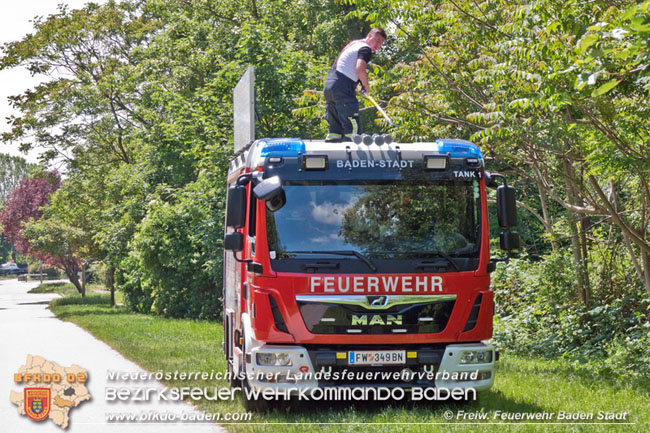 20210604 Feuerwehreinsatz nach Schlangenbiss in einem Badener Kindergarten  Foto: © Freiwillige Feuerwehr Baden-Stadt